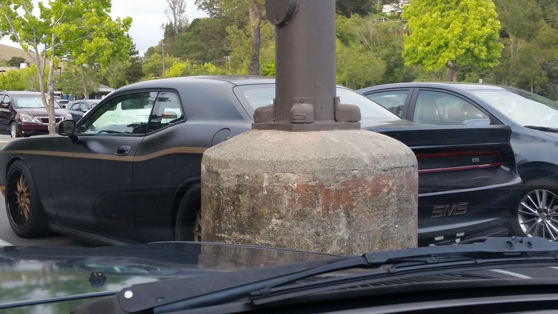 No I couldn’t be bothered to get out and take a better picture. I was carrying groceries on the way to the car.